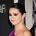 Selena Gomez shuts down Drew Taggart dating rumours