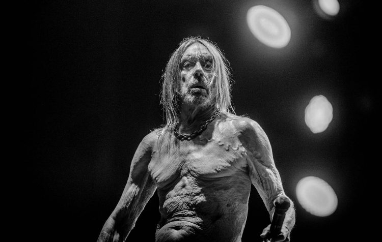 Iggy Pop – ‘Every Loser’ review: The Godfather of Punk stages a raucous return to his roots