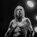 Iggy Pop – ‘Every Loser’ review: The Godfather of Punk stages a raucous return to his roots
