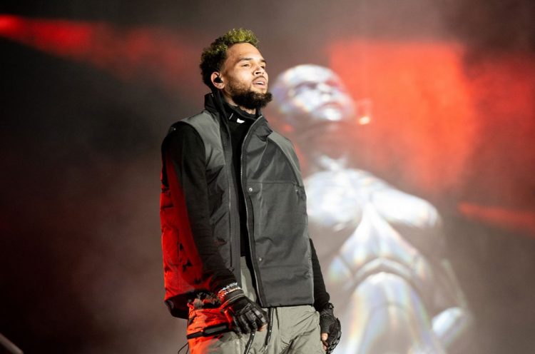 Chris Brown’s Monkey Dealer Gets License Terminated