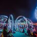 Check Out the List of DJs and Club Shows for EDC Week 2023 In Las Vegas