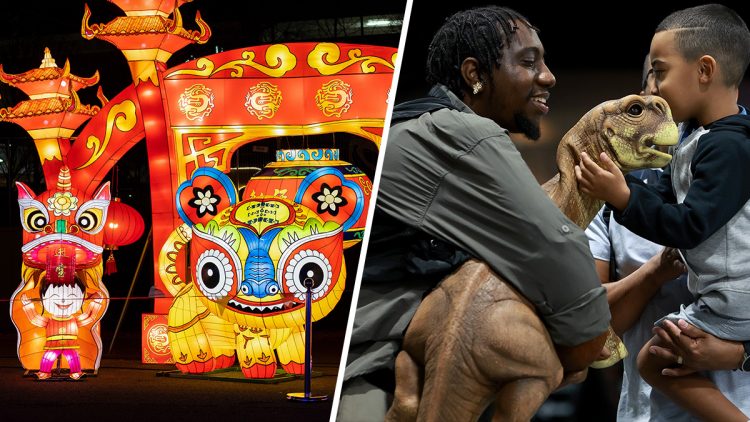 Things to Do the First Weekend of 2023 – NBC4 Washington