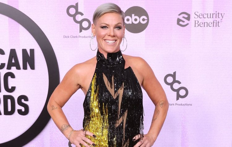 Pink says she was told her career “would be over” if she had children