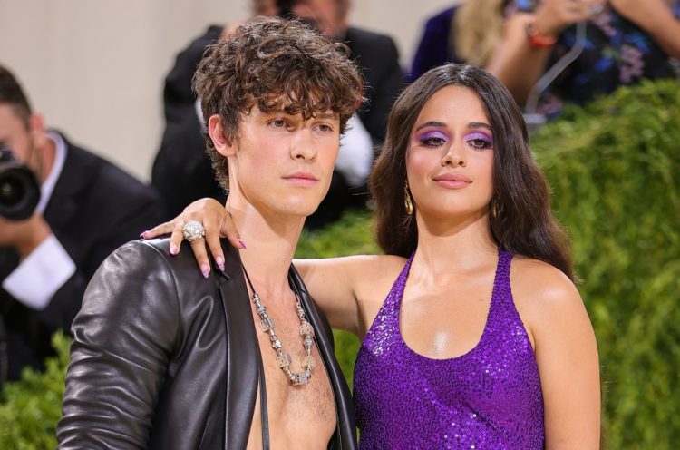 Shawn Mendes & Camila Cabello Spotted Holding Hands in NYC: Fans React