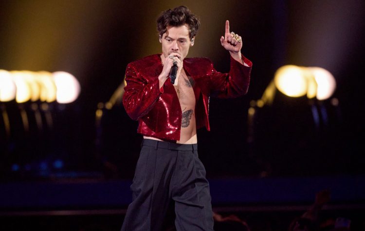 Harry Styles halts Slane Castle gig to help fallen fan