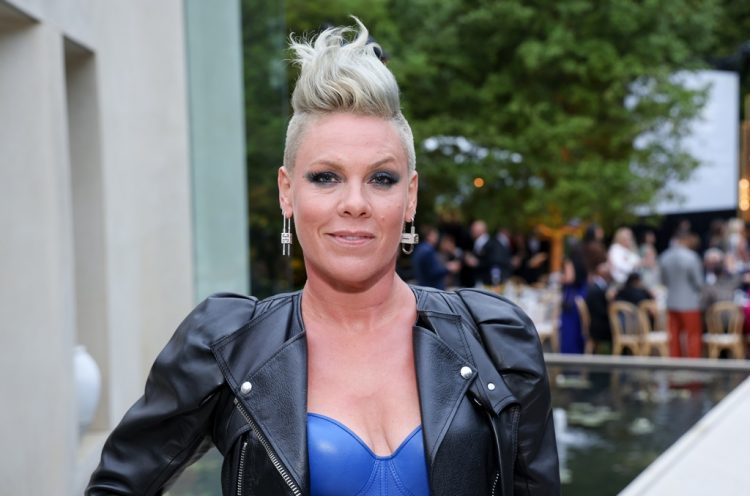 P!nk Incensed at Sight of Nazi Protesters Outside Disney World