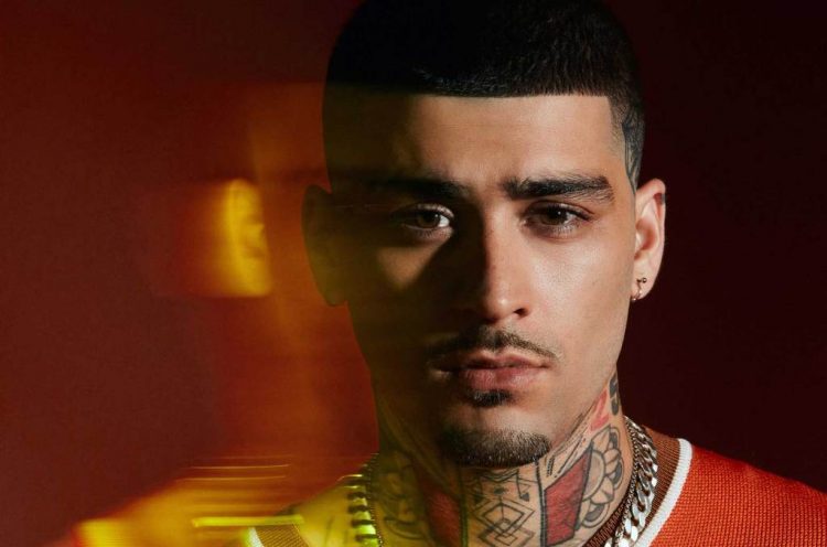 ZAYN’s ‘Love Like This’ Co-Star Went From ‘Deranged Fan Girl’ to Video Love Interest
