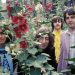 Peter Jackson-Directed Video for Final Beatles Song ‘Now and Then’ Sets Global Premiere
