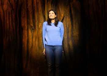 Hear Idina Menzel Sing Live in Her New Musical