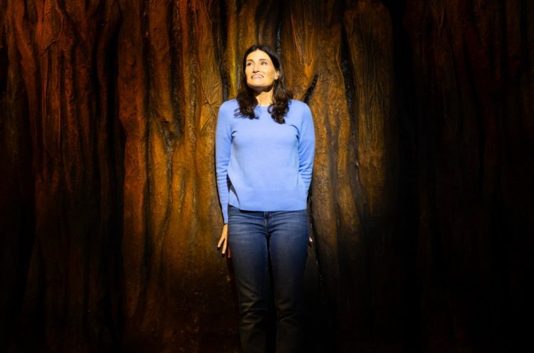 Hear Idina Menzel Sing Live in Her New Musical