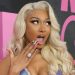 Megan Thee Stallion Had Cheeky Reaction to Her Bikini Tour Announcement Being Flagged By Instagram