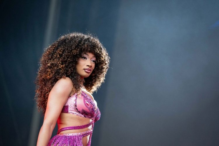 Fans Think Megan Thee Stallion Is Dissing Nicki Minaj on Her New Album