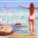 Blame it on the Margaritas – Howard Livingston