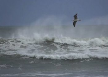 Magic Ninja | Dawn on the Seashore (instrumental mix)