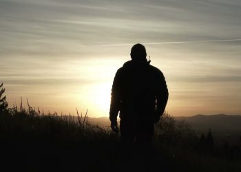 The River Bank by The Modern Experience