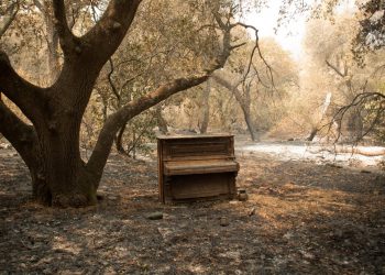 The Gear Lost in the Fires: As NAMM Arrives in Anaheim, Manufacturers Step Up to Aid Musicians