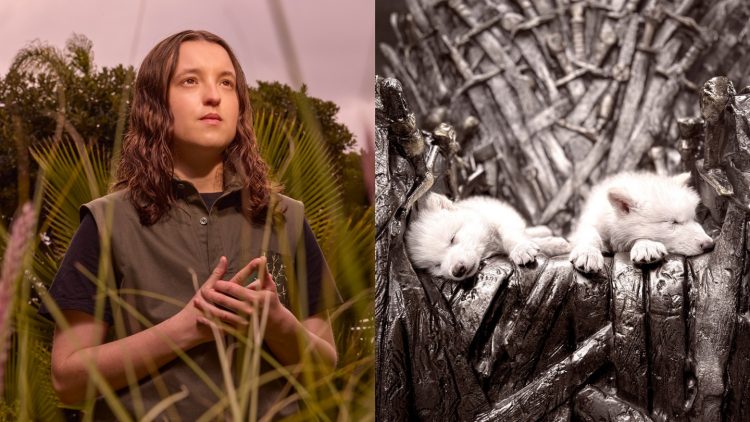 Sustainability Issue 2025